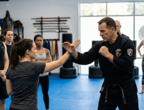 Waar kan ik KAPAP leren in Noord-Brabant?